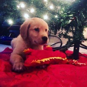 Meet your Posher, Marcela